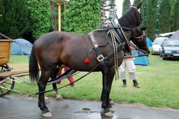 17-Mohelnicak2009-krasni konici byly kousek za branou.jpg